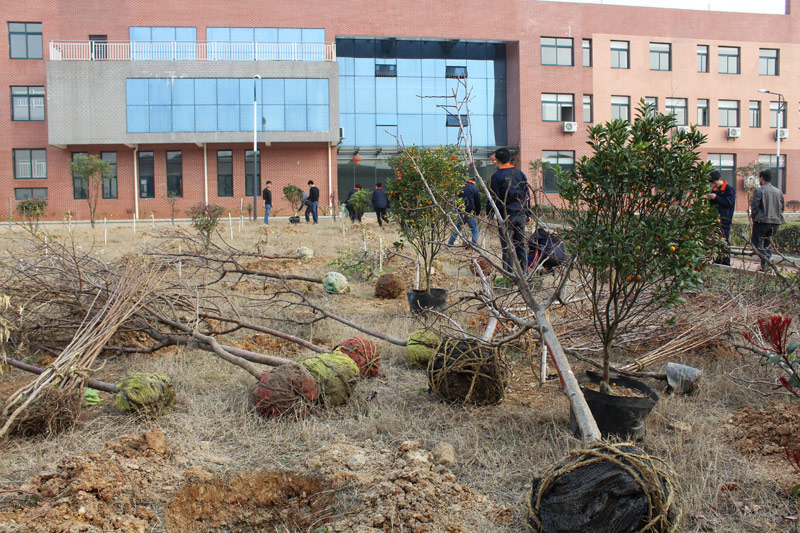 3月12植樹節(jié)，看看竑光人建設(shè)園林單位的勢頭！