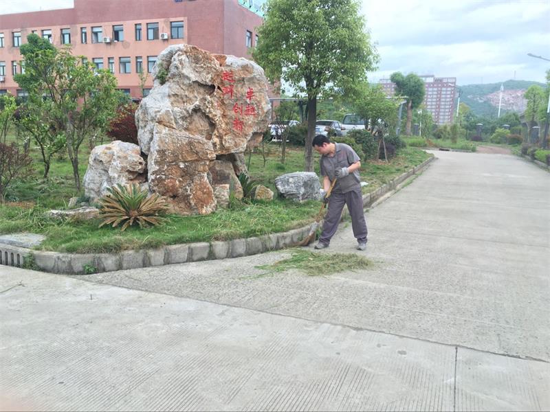 全員參與，創(chuàng)建衛(wèi)生廠區(qū)